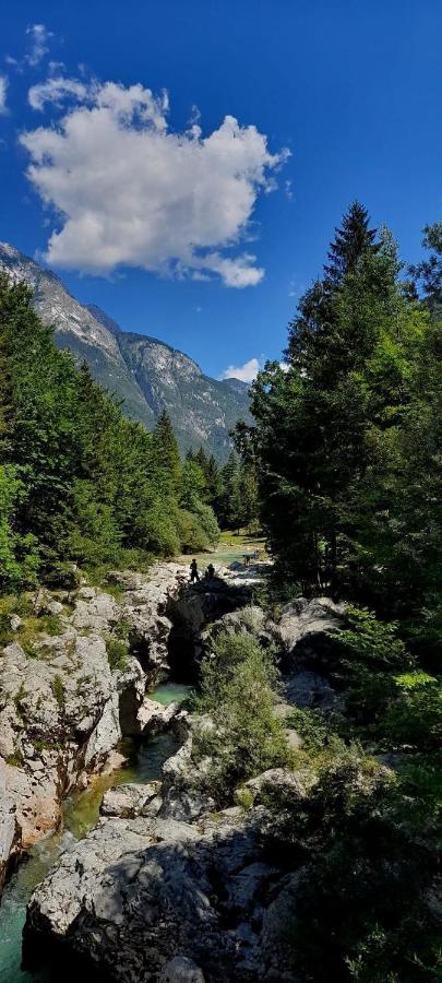 Cozy Cottage In The Heart Of The Triglav National Park Soča Exterior foto