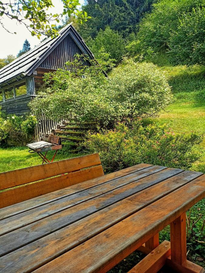 Cozy Cottage In The Heart Of The Triglav National Park Soča Exterior foto